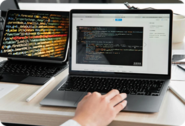 Web Development 