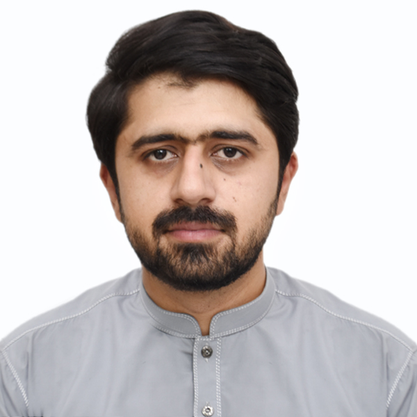 Sr. Web Developer